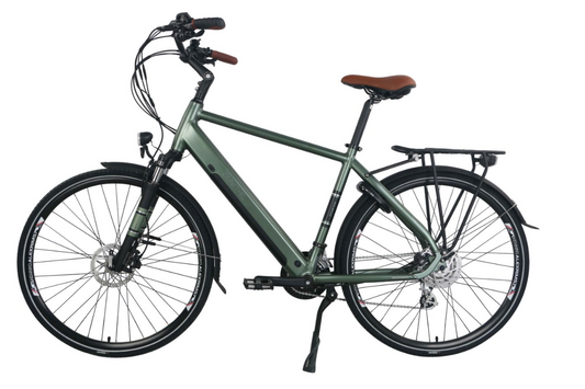 Zenith Bikes Classic Plus ZCM°02