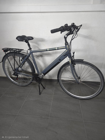 Zenith Bikes Comfort Easy ZCM°01 hellgrün